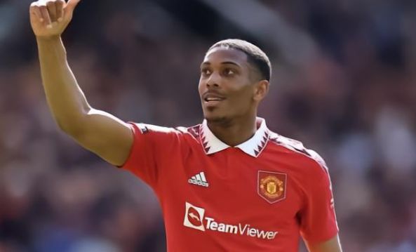 引进英格兰 引进英格兰